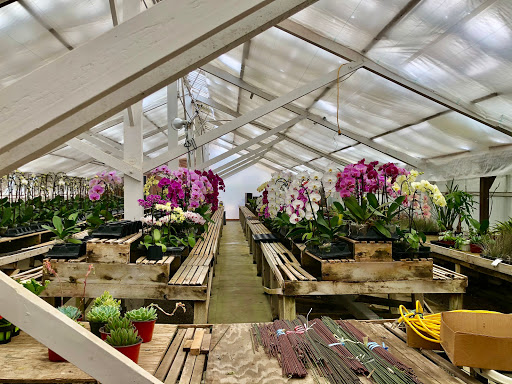 Orchid farm Thousand Oaks
