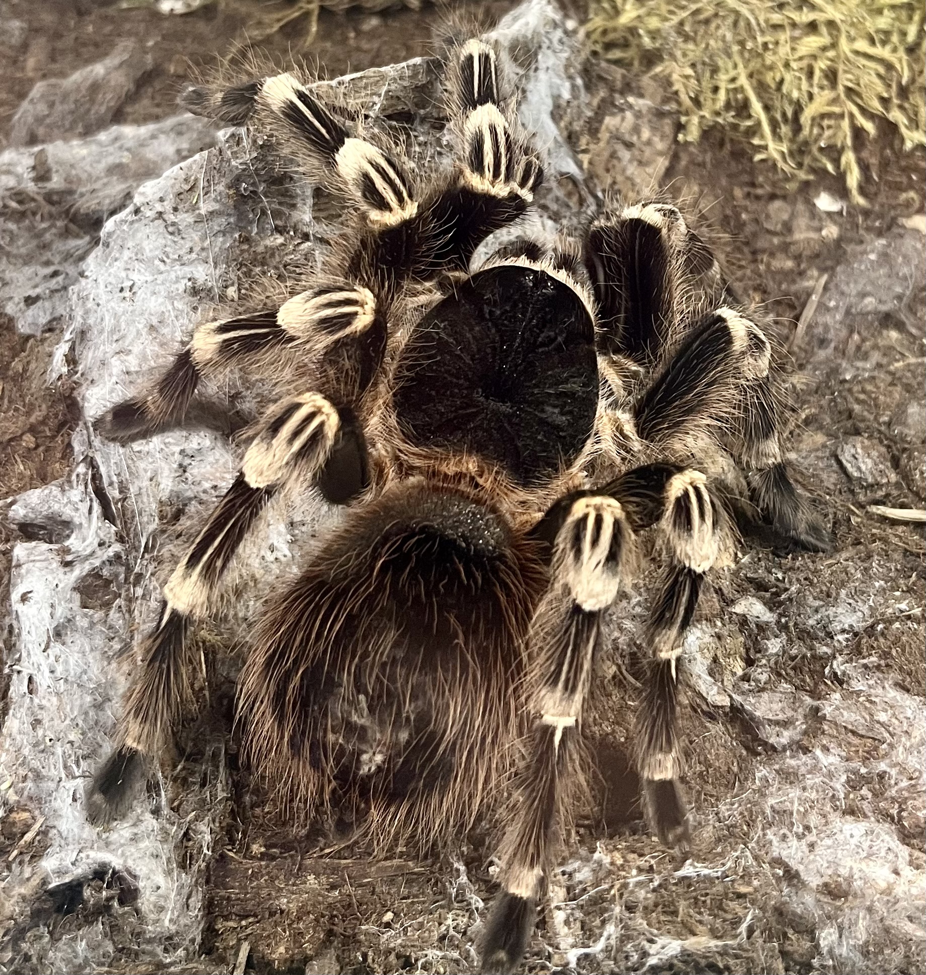 Photo n° 3 de l'avis de Elisa.i fait le 04/11/2023 à 18:33
