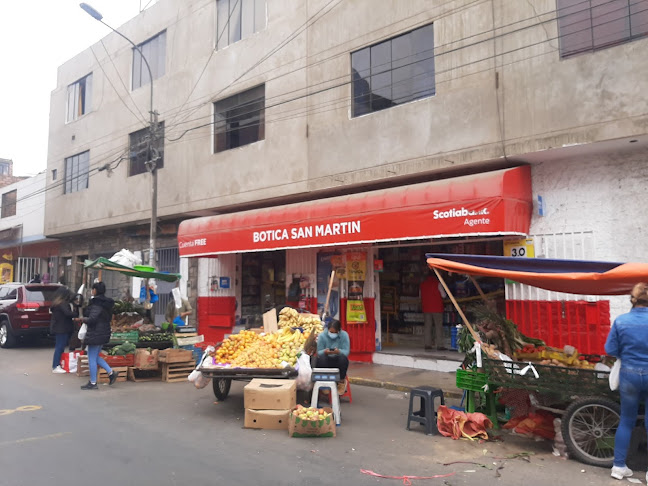 Botica San Martin