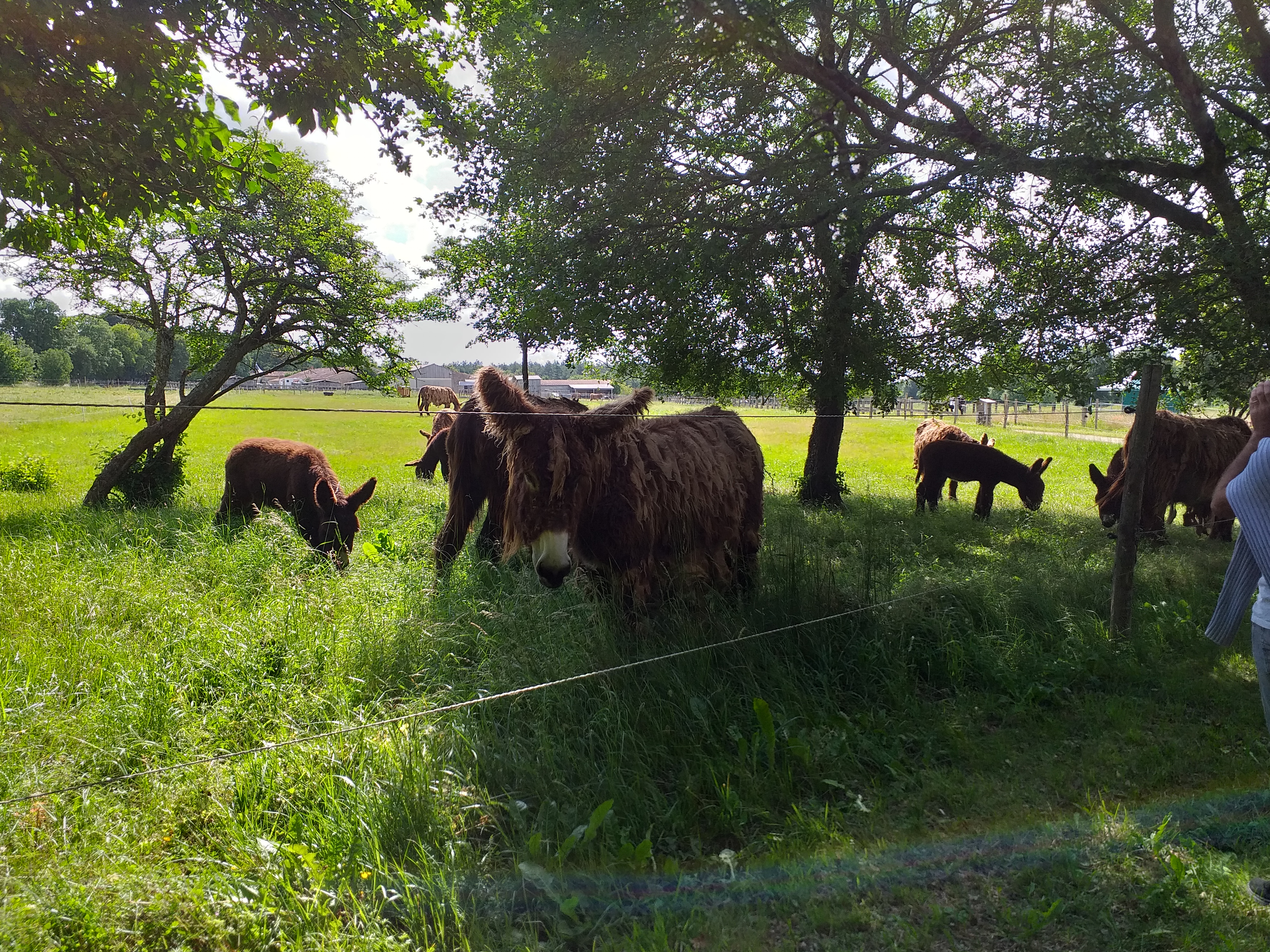 Photo n° 2 de l'avis de Cécile.o fait le 15/06/2019 à 11:54