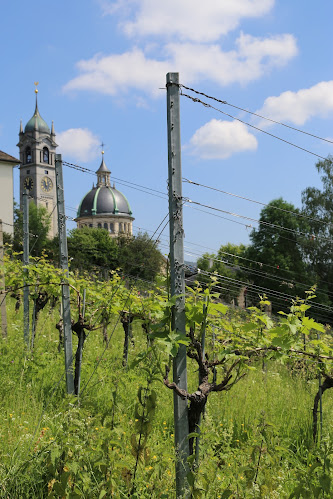 Landolt Weine AG - Spirituosengeschäft