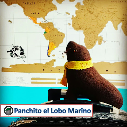 Opiniones de Panchito el lobo marino en Valdivia - Agencia de viajes