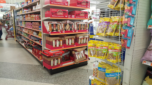 Discount Store «Big Lots», reviews and photos, 2412 S Volusia Ave, Orange City, FL 32763, USA