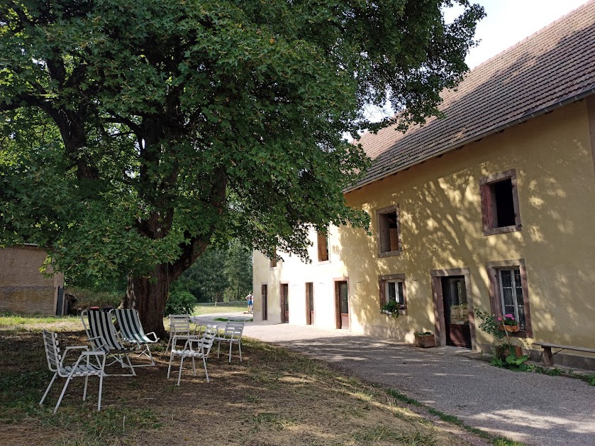 Moulin du Saareck à Oberstinzel (Moselle 57)