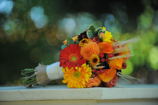 Florist «Paul Wood Florist», reviews and photos, 111 W Olive St, Fort Collins, CO 80524, USA