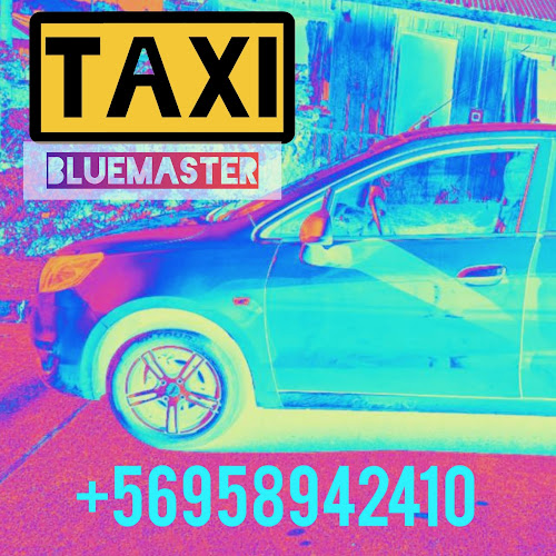 Opiniones de BlueMaster en Castro - Servicio de taxis