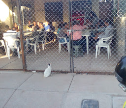 Parque Casa Blanca photo