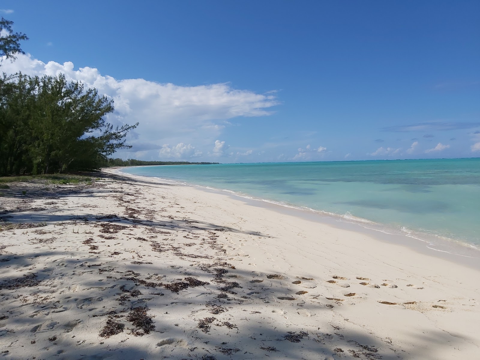 Fotografija Bambarra beach z svetel fin pesek površino