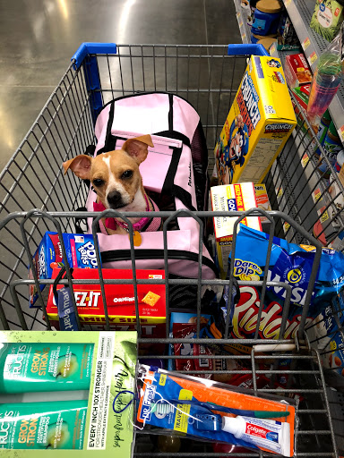 Discount Store «Walmart», reviews and photos, 3990 Nesconset Hwy, Setauket- East Setauket, NY 11733, USA