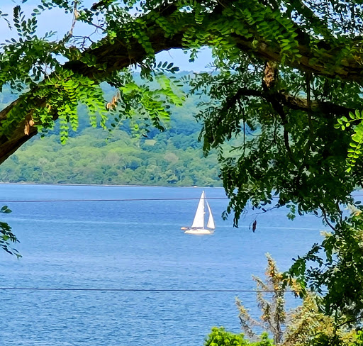 Winery «Goose Watch Winery», reviews and photos, 5480 NY-89, Romulus, NY 14541, USA