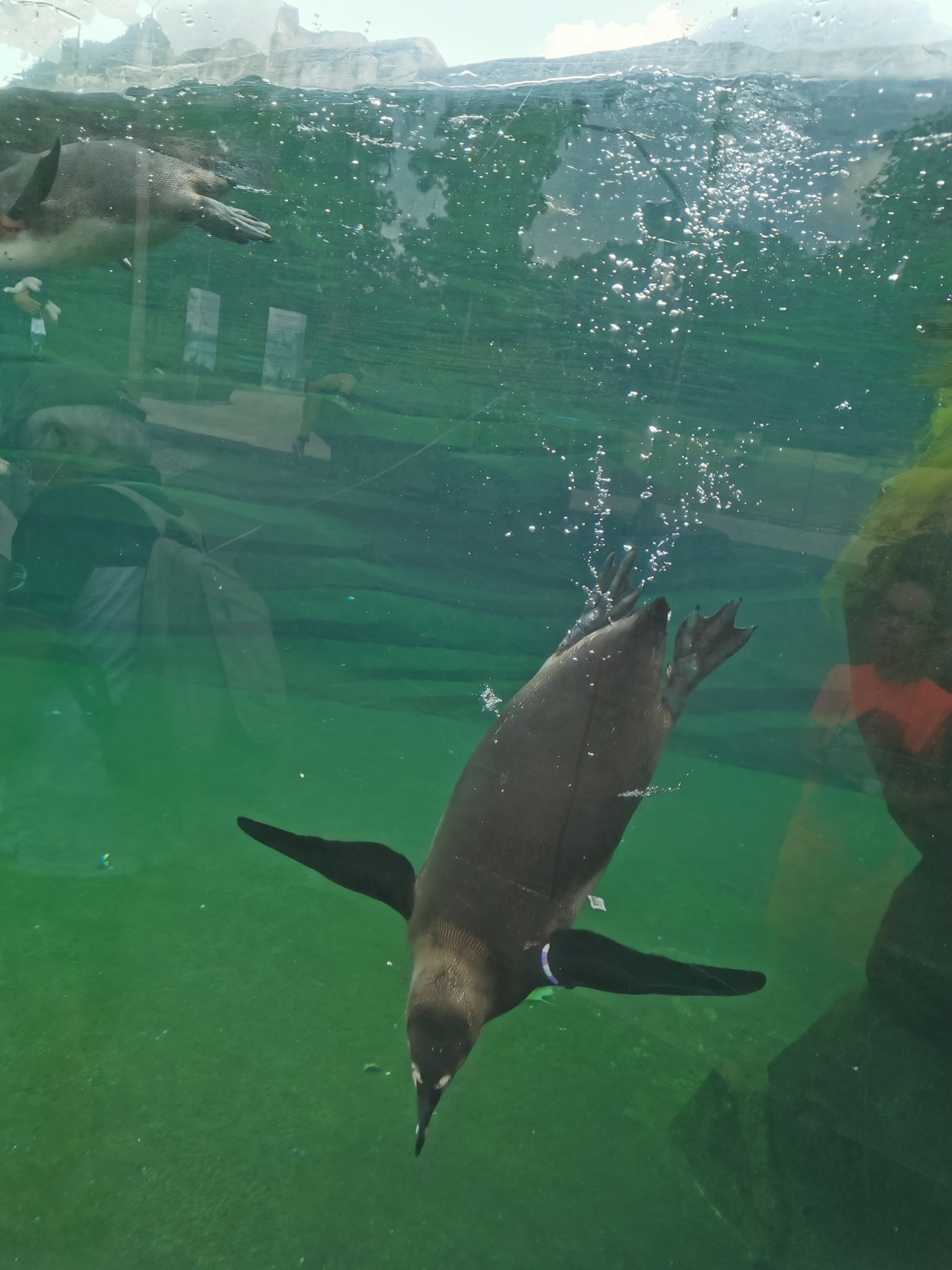 Photo n° 1 de l'avis de N1n1ce. fait le 27/04/2018 à 22:54