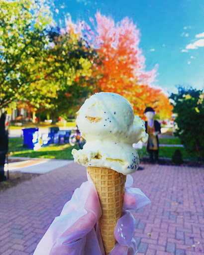 Grocery Store «Old Wethersfield Country Store», reviews and photos, 221 Main St, Wethersfield, CT 06109, USA