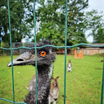 Photo n° 4 de l'avis de ophelie.n fait le 14/08/2021 à 21:25 pour Exotic Park, zoo de Lescar à Lescar