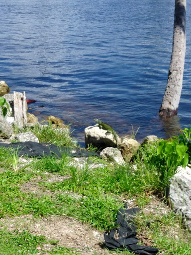 Park «Sewell Park», reviews and photos, 1801 NW S River Dr, Miami, FL 33125, USA