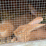 Photo n°2 de l'avis de Stefanie.. fait le 07/06/2021 à 11:46 sur le  Buchrainer Alpe à Oberstdorf
