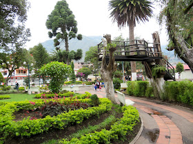Palomino Flores (Parque Central)