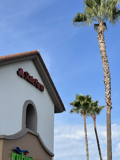 Insurance Agency «State Farm Insurance Agent - Diane Viadero CLU», reviews and photos