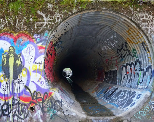 Nature Preserve «UC Davis - Stebbins Cold Canyon Natural Reserve», reviews and photos, CA-128, Winters, CA 95694, USA