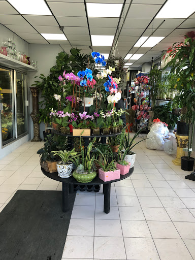 Florist «Quinn Florist», reviews and photos, 3524 Broadway, Astoria, NY 11103, USA