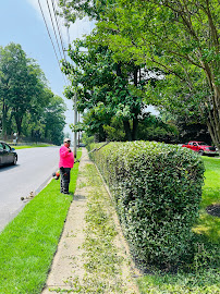 JACK'S PUGSCAPING LLC - Photo 5 - Car repair in , Philadelphia