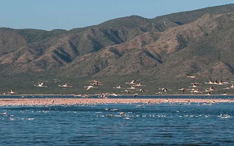 Lake Baringo Attractions image