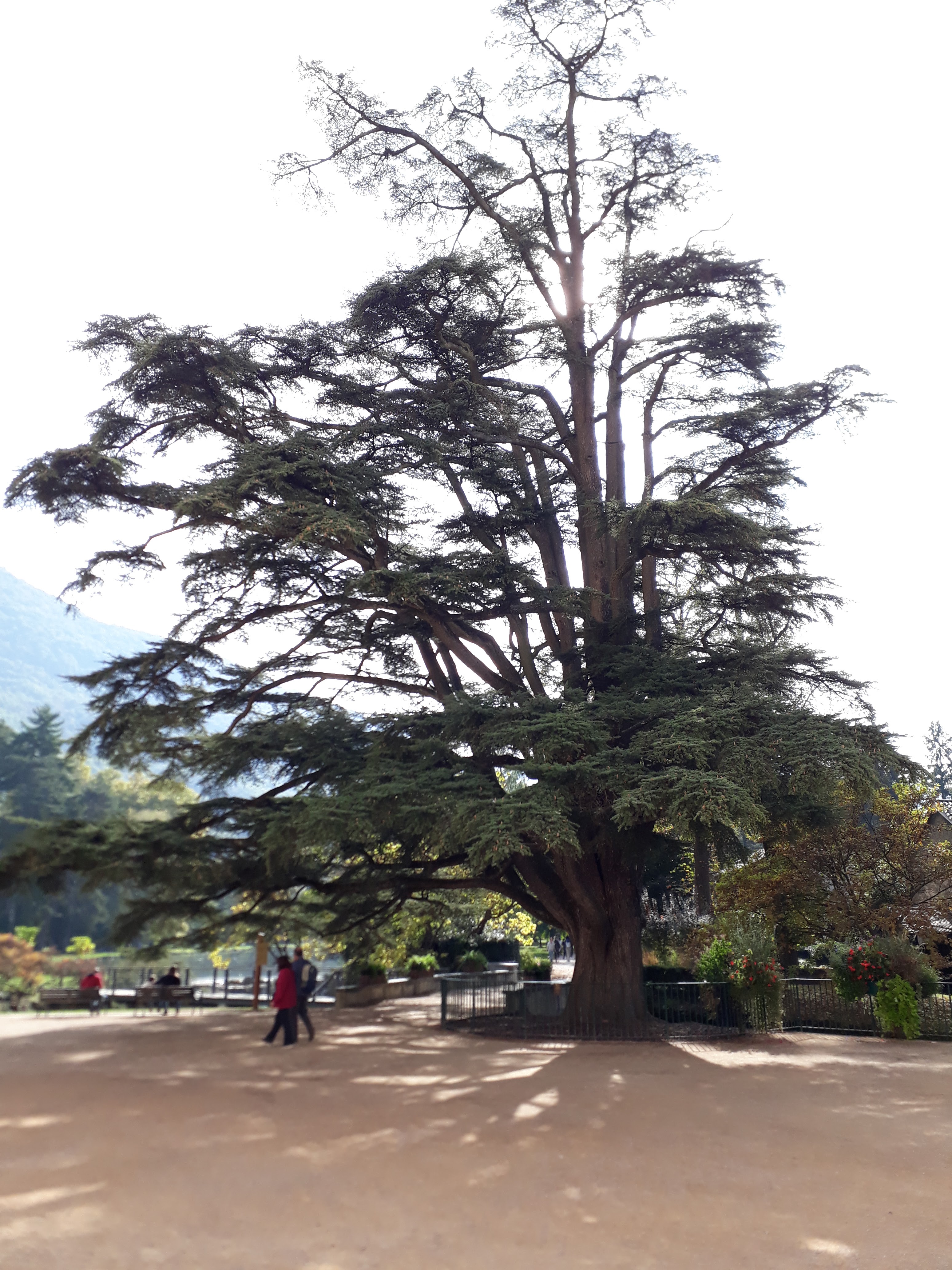 Photo n° 2 de l'avis de Dominique.a fait le 06/04/2019 à 16:29