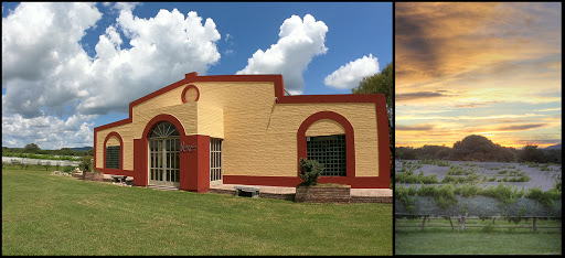 Bodega y Viñedo Jairala Oller