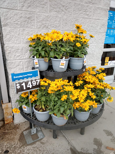 Department Store «Walmart Supercenter», reviews and photos, 1882 Holly St, Blair, NE 68008, USA