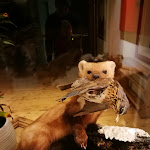 Photo n°4 de l'avis de Achille.a fait le 15/01/2018 à 19:43 sur le  Alpin Natur Hotel Brückele à Prags