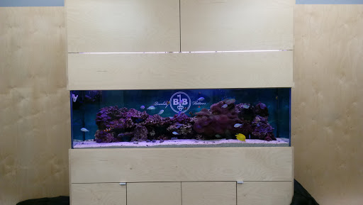 Body Piercing Shop «Big Brain», reviews and photos, 1123 Jackson St, Omaha, NE 68102, USA