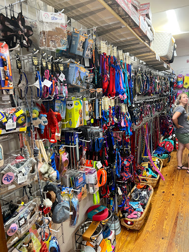 Pet Supply Store «Bark Harbor», reviews and photos, 150 Main St # 3, Bar Harbor, ME 04609, USA
