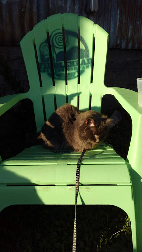 Live Music Venue «ArtsRiot», reviews and photos, 400 Pine St, Burlington, VT 05401, USA