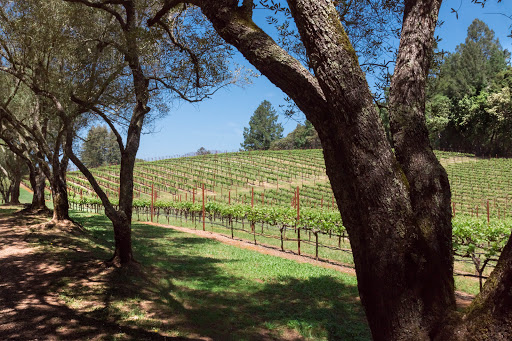 Winery «Schramsberg Vineyards», reviews and photos, 1400 Schramsberg Rd, Calistoga, CA 94515, USA