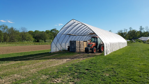 Farm «Manoff Market Gardens», reviews and photos, 3157 Comfort Rd, Solebury, PA 18963, USA