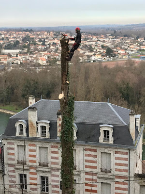 Maîtrise Elagage à Libourne