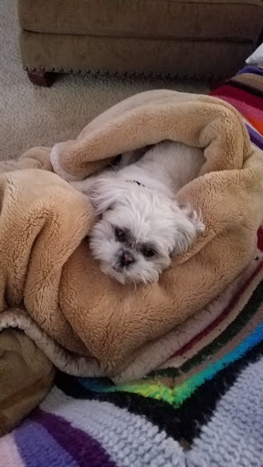 Craft Store «Hobby Lobby», reviews and photos, 12550 Amargosa Rd C, Victorville, CA 92392, USA