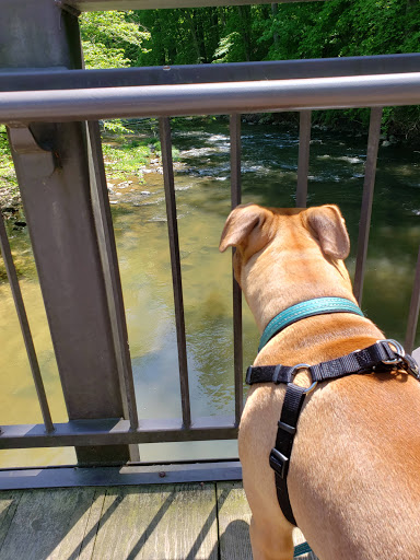 Historical Place «Jerusalem Mill», reviews and photos, 2813 Jerusalem Rd, Kingsville, MD 21087, USA