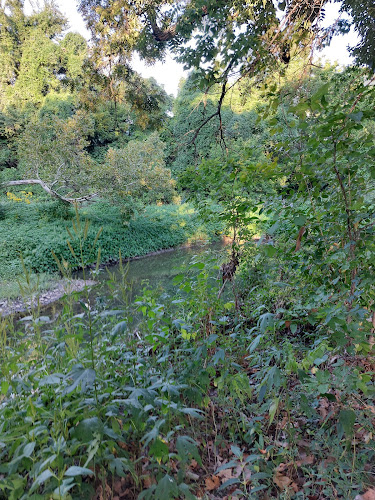 Shawnee Mission Park Midland Park Access