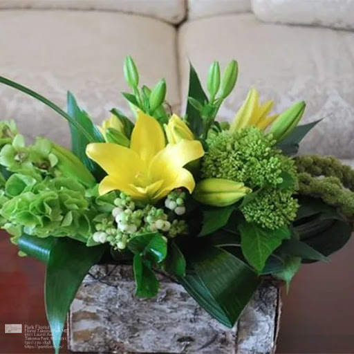 Florist «Park Florist», reviews and photos, 6921 Laurel Ave, Takoma Park, MD 20912, USA