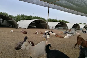 Wafra Farm image