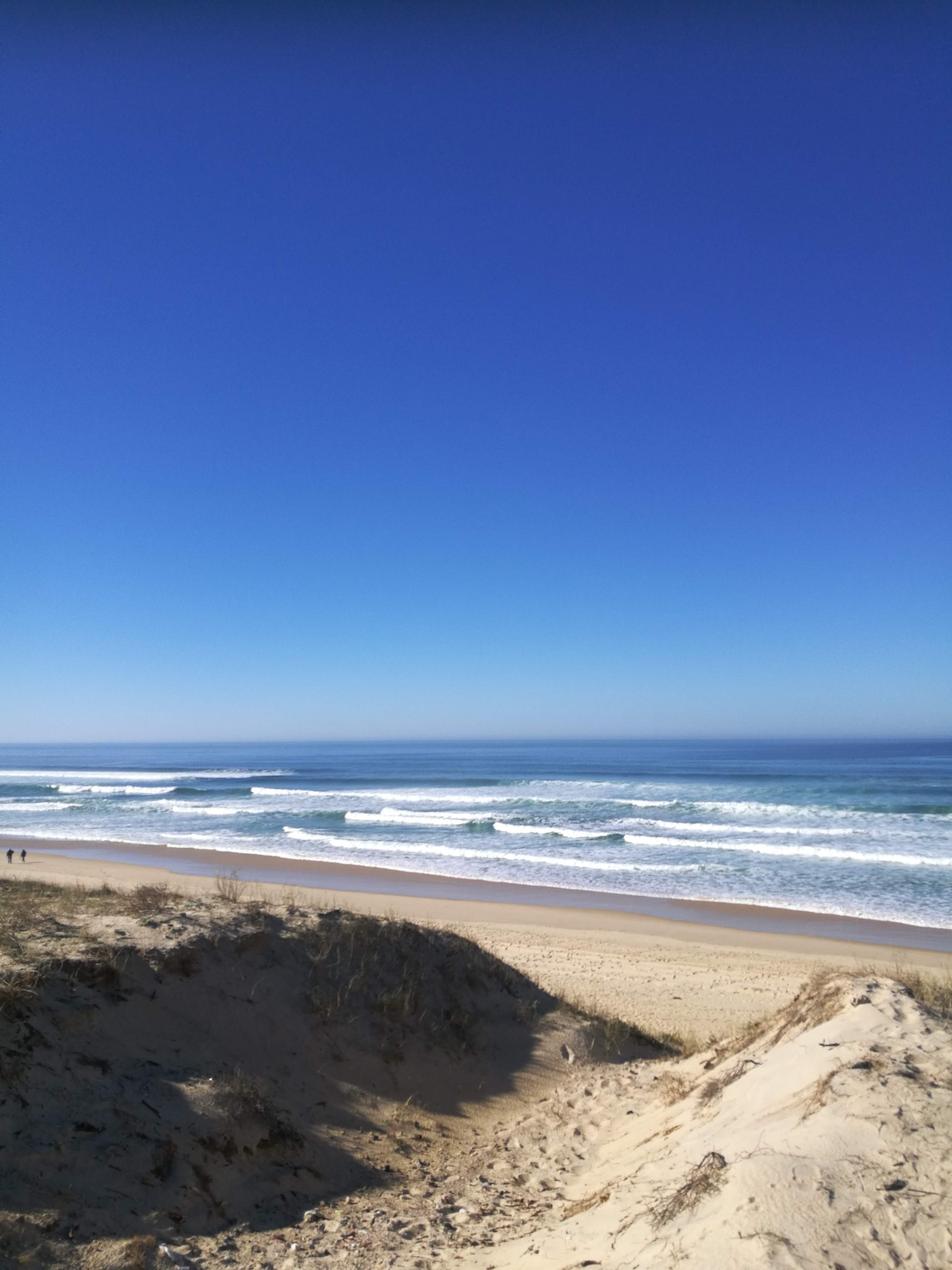 Photo n° 1 de l'avis de Muriel.O fait le 16/02/2019 à 13:41