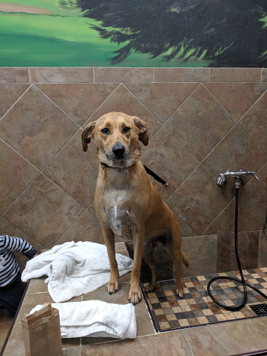 Pet Store «Pet Valu», reviews and photos, 55 Westport Ave, Norwalk, CT 06851, USA