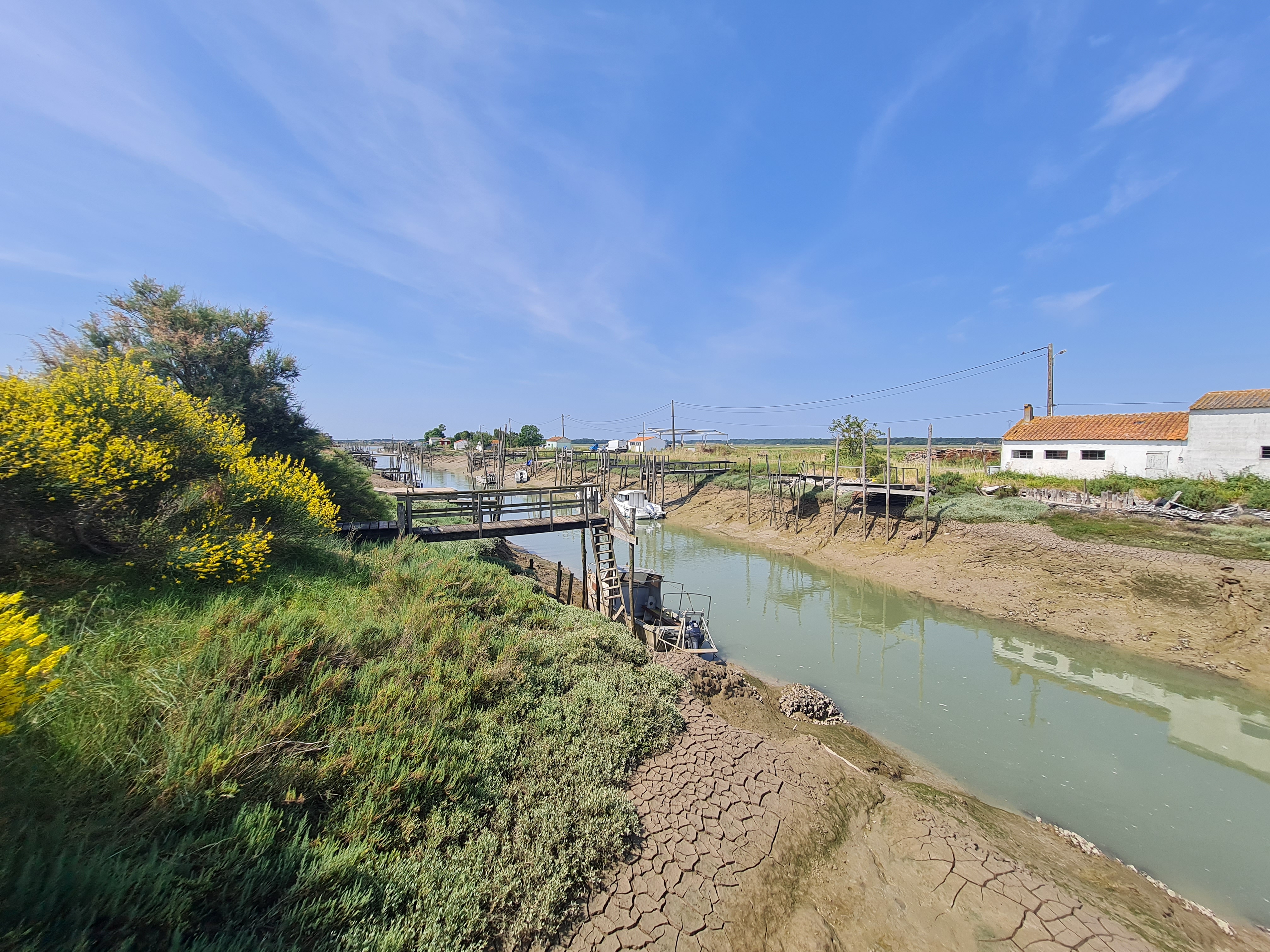 Photo n° 9 de l'avis de Okky.e fait le 02/06/2023 à 11:11