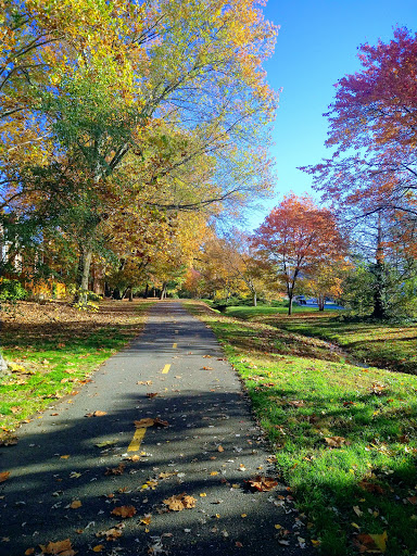 Park «Barcroft Park», reviews and photos, 4200 S Four Mile Run Dr, Arlington, VA 22206, USA