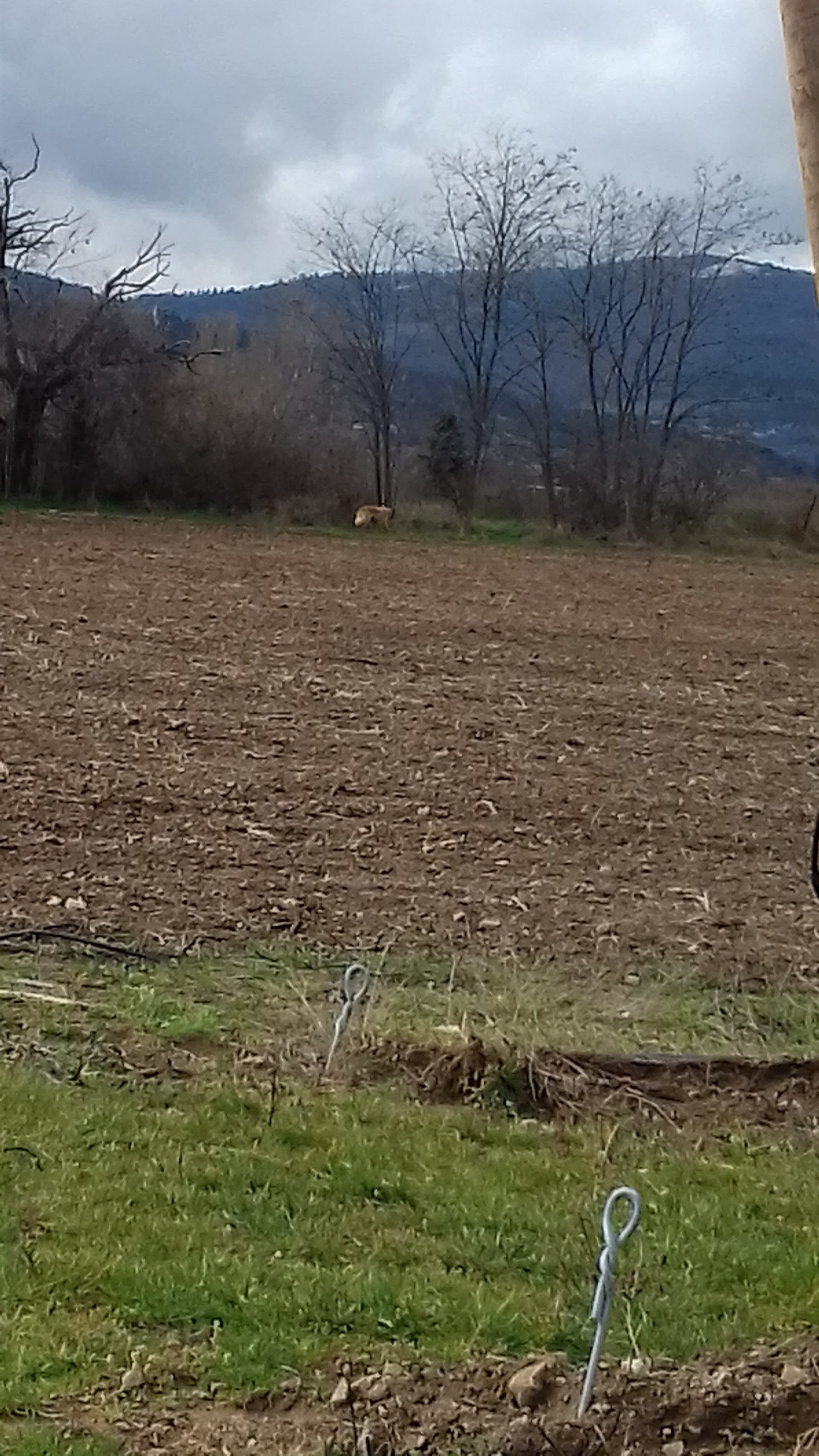 Photo n° 5 de l'avis de Mxtth.. fait le 25/03/2018 à 12:45