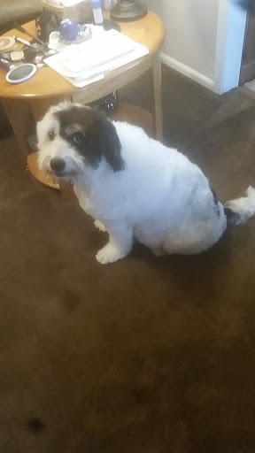 Pet Supply Store «Petco Animal Supplies», reviews and photos, 9350 US 49 a, Gulfport, MS 39503, USA