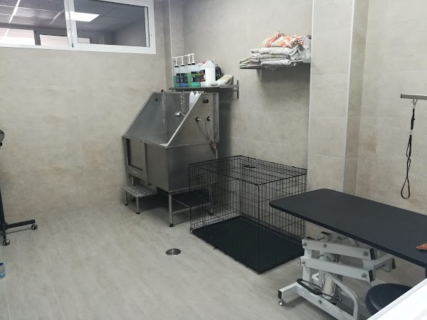 Guaupos Peluquería Canina