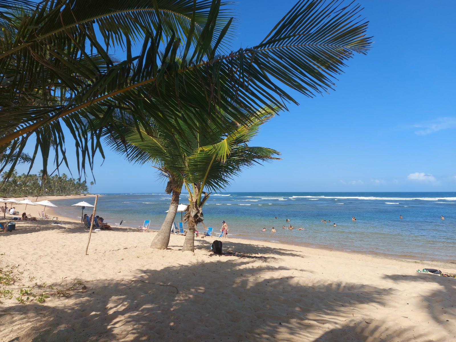 Photo de Praia do Lord avec plage spacieuse