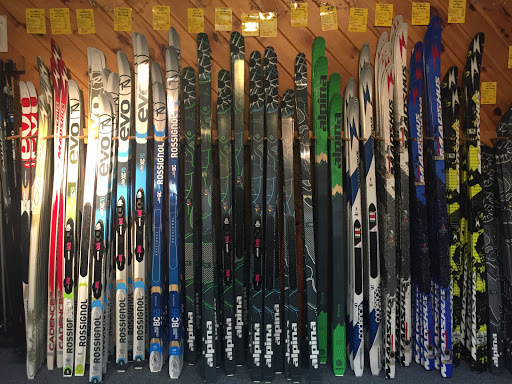 Ski Shop «Alpine Sport Shop», reviews and photos, 399 Clinton St, Saratoga Springs, NY 12866, USA