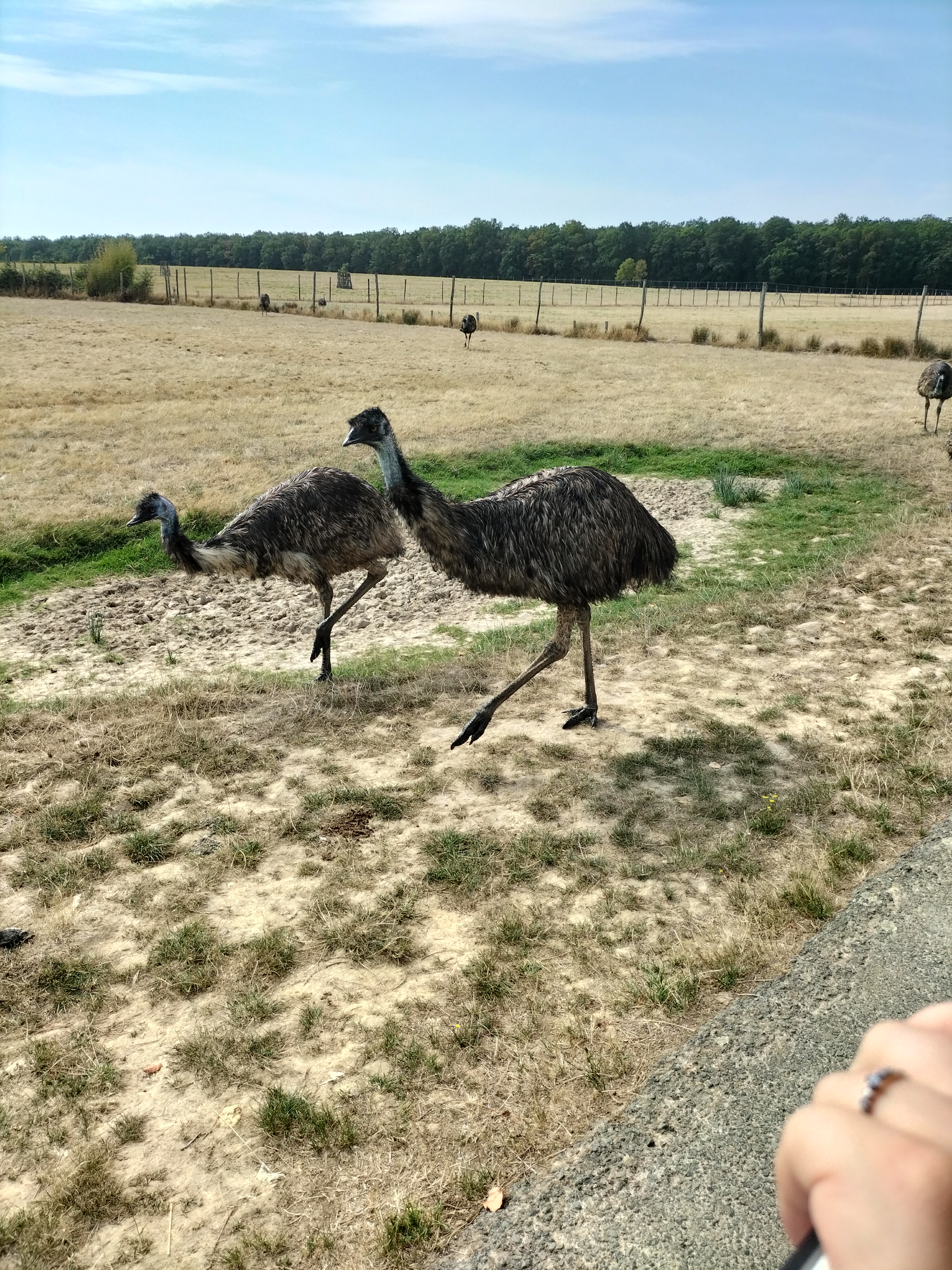 Photo n° 1 de l'avis de Melanie.r fait le 31/08/2022 à 15:45